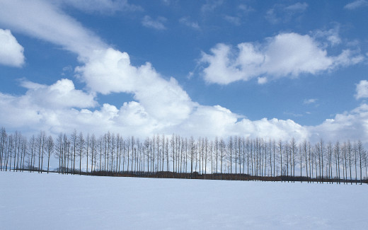 698868 (a): :1920x1200